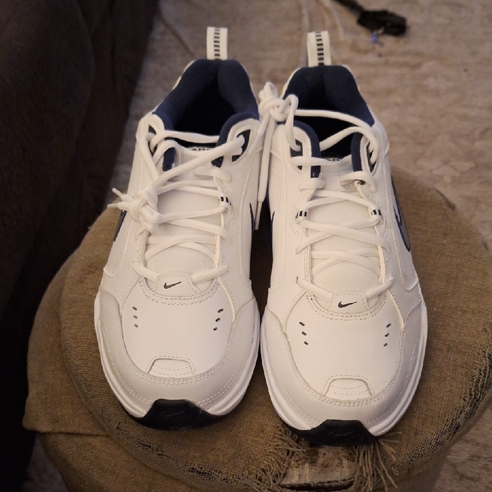 Nike White and Navy Sneakers